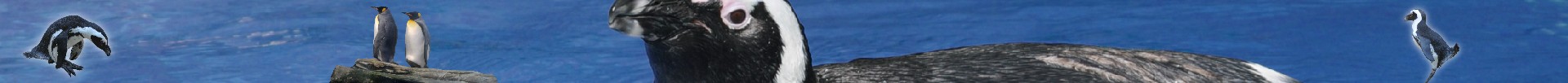 Linux-Befehle - Vergleich zwischen Linux und DOS/Windows